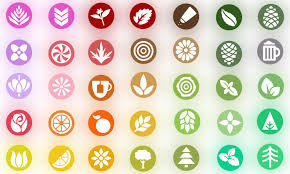 The King's Guide: Touching Base on Terpenes