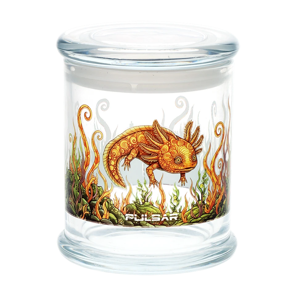 Pulsar Pop Top Glass Jar - 4.5" x 3.9" / Large Hellbender