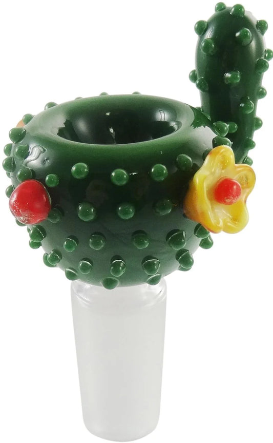 Cactus Bowl